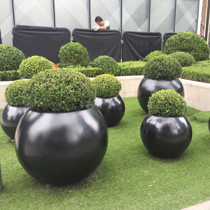 Stainless Steel Flowerpot FAQs: 6 Large Outdoor Planter Answers You Need