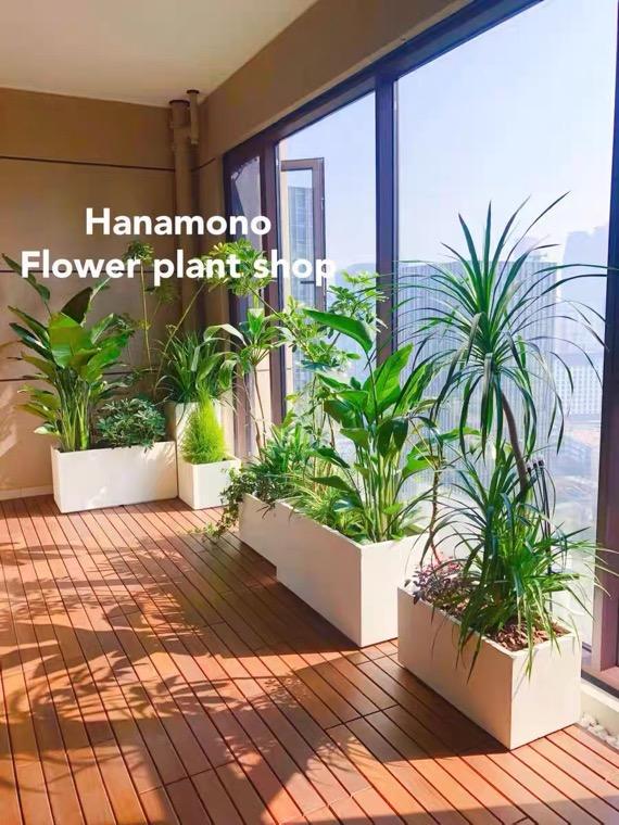 Large Rectangular Plant Pot Big Fiberglass Planter Box Outdoor Cement Garden Irregular Stainless Steel Flower Pot for Planter